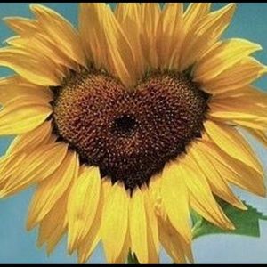 Meet your Posher, with love, Ymma